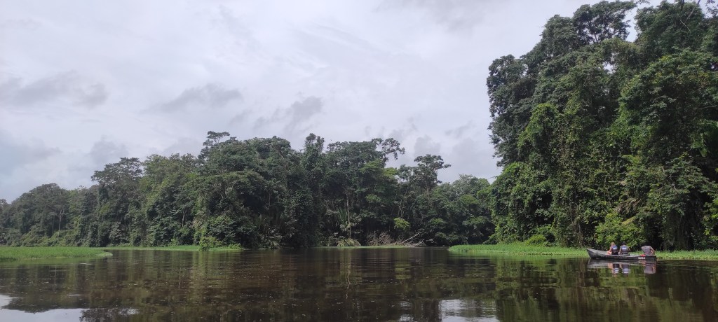 Safari en Canoa por la Selva tropical de Tortuguero.