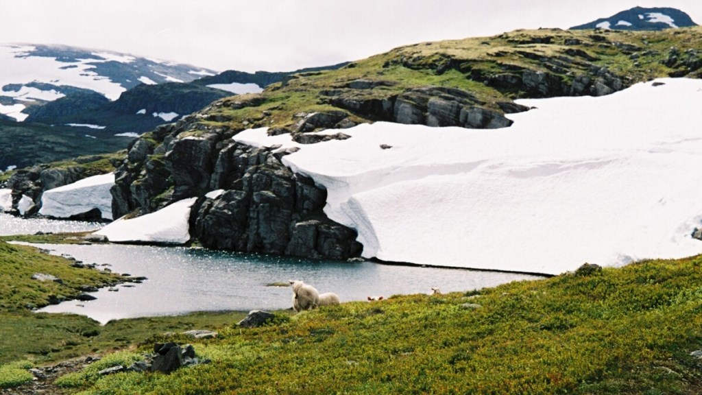 En la Aurlandsvegen, carretera que une Laerdal con Aurland