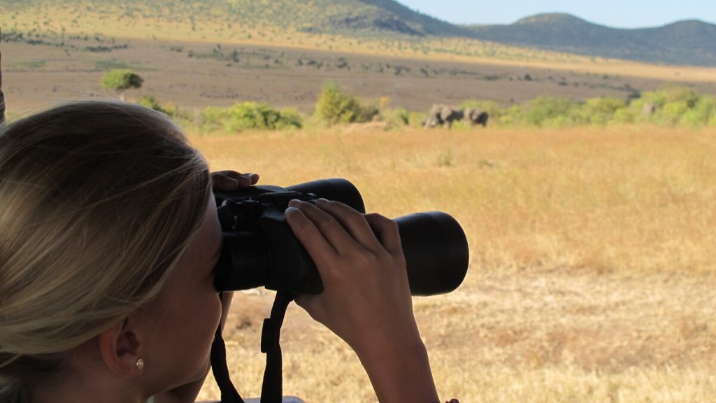 Safari para ver animales salvajes en el Masai Mara
