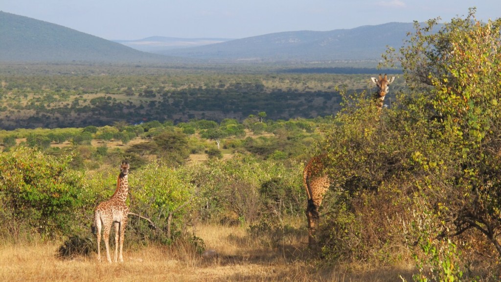 Reserva del Masai Mara, Safari en Kenia con niños