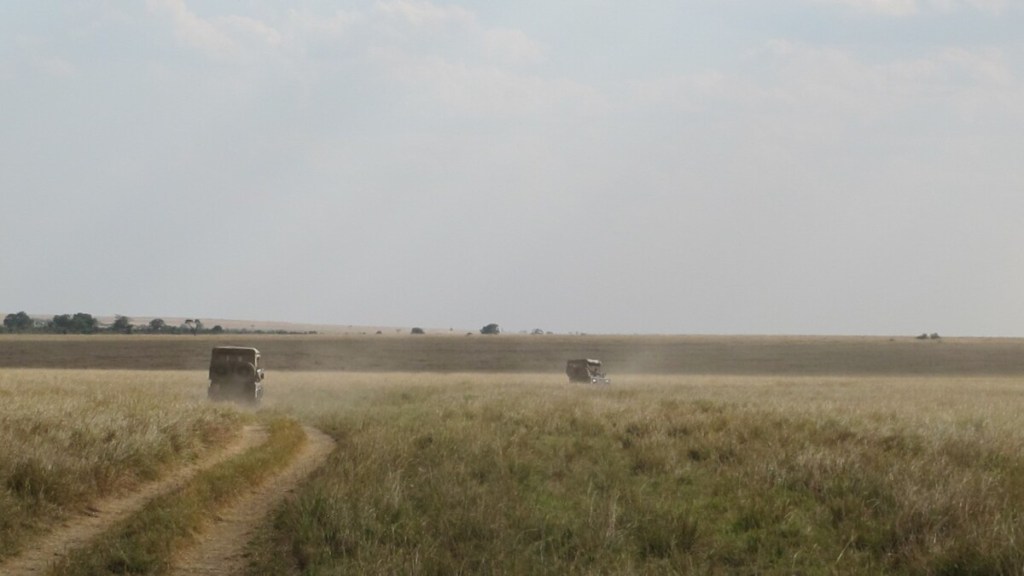 Caminos secundarios del Masai Mara, solo accesible en 4x4. 