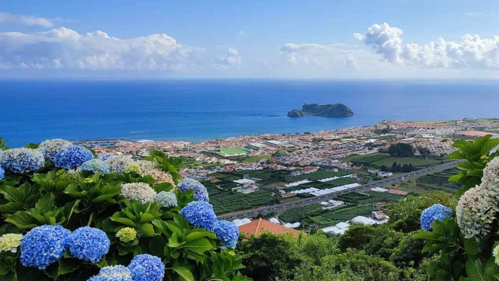 Vila Franca do Campo, Islas azores, hortensias azules.