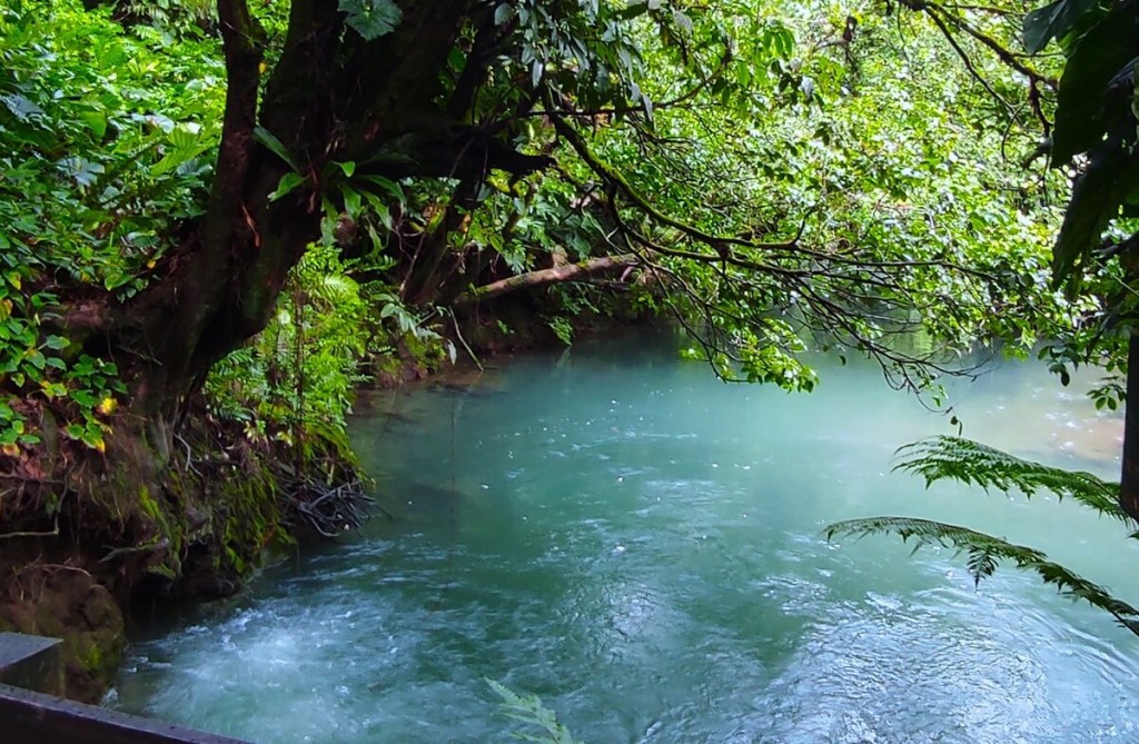 Rio Celeste en el Parque Nacional Volcán Tenorio