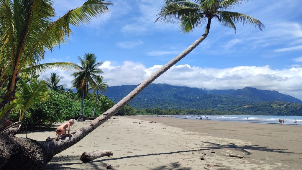 En una playa cerca del P.N. Manuel Antonio