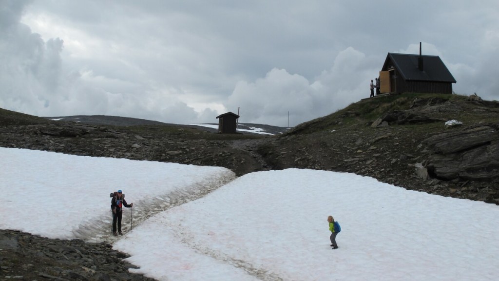 Kungsleden con niños. Trekking
